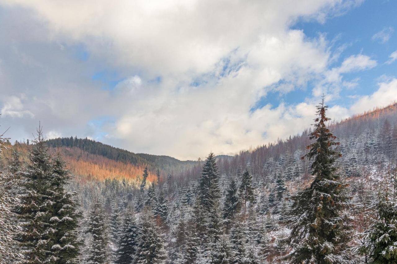 Konopka Forest Home & Spa Bukovel Kültér fotó