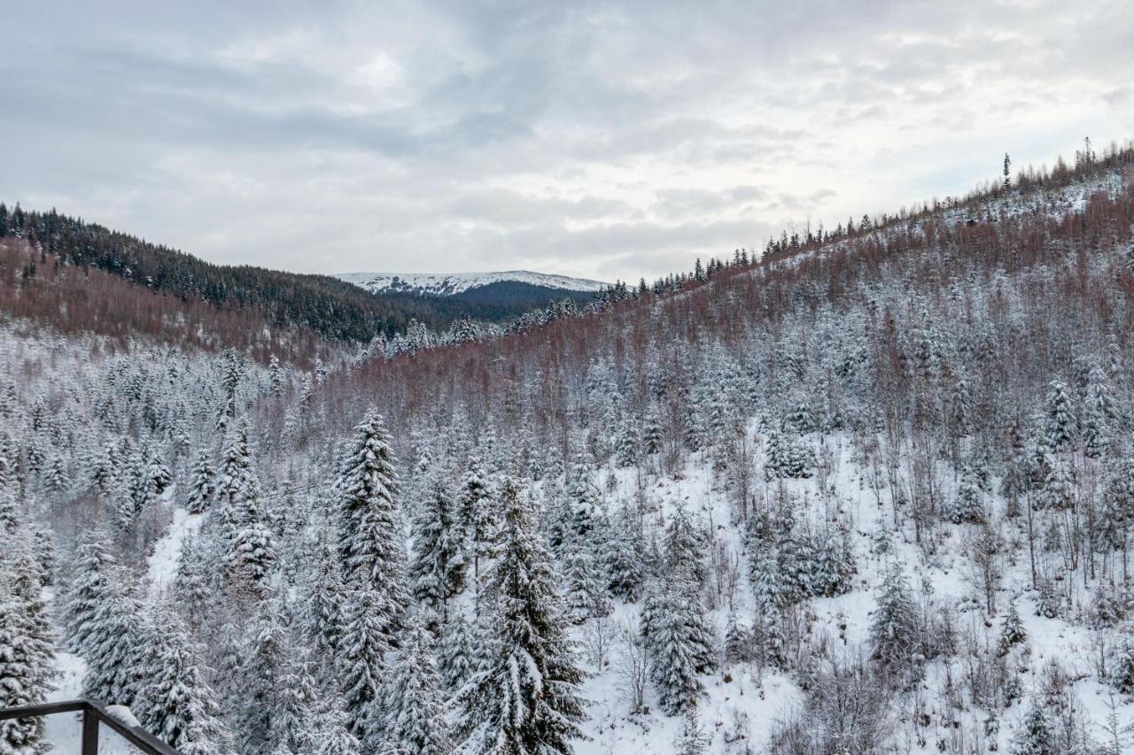 Konopka Forest Home & Spa Bukovel Kültér fotó